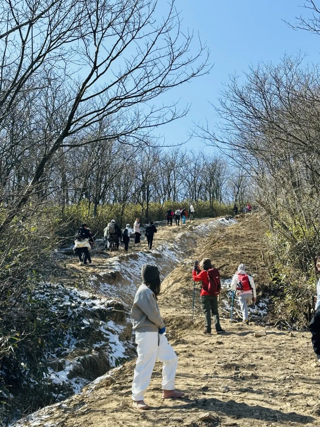 微信图片_20250210090835.jpg