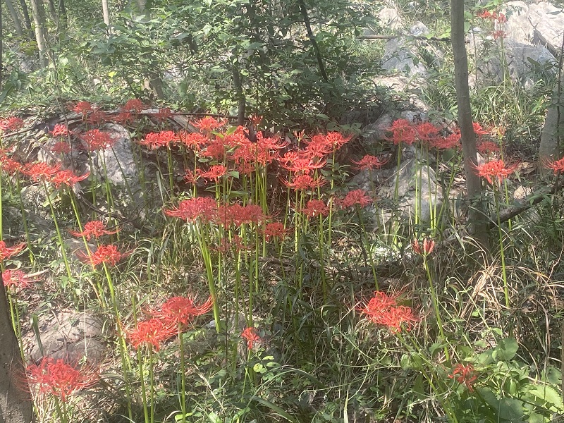 微信图片_20200913104525.jpg