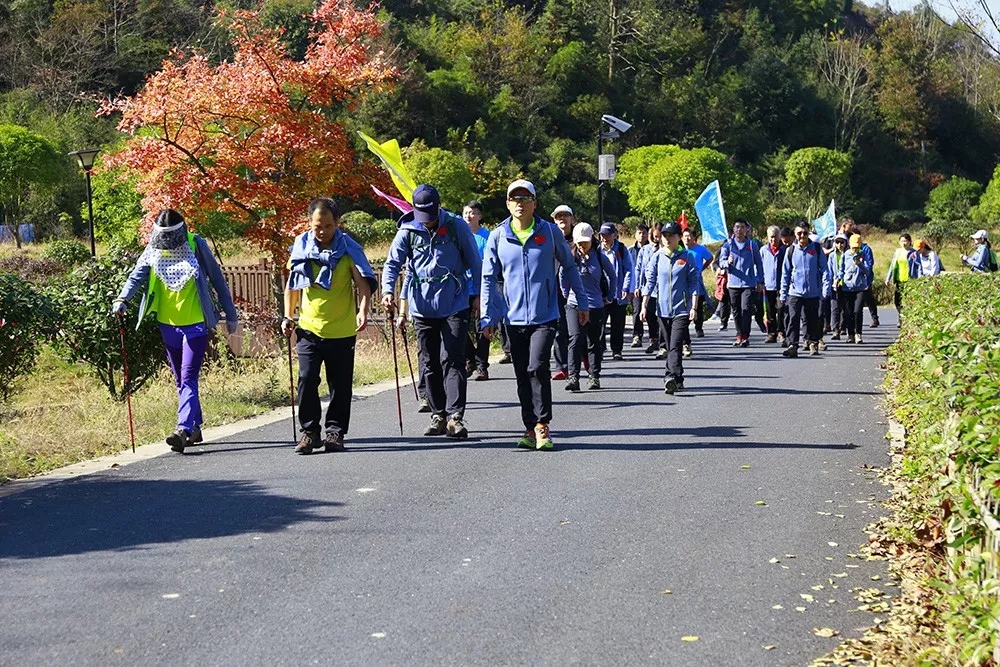 上青古道,首起上灶,尾至青坛