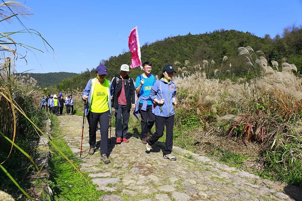 上青古道,首起上灶,尾至青坛
