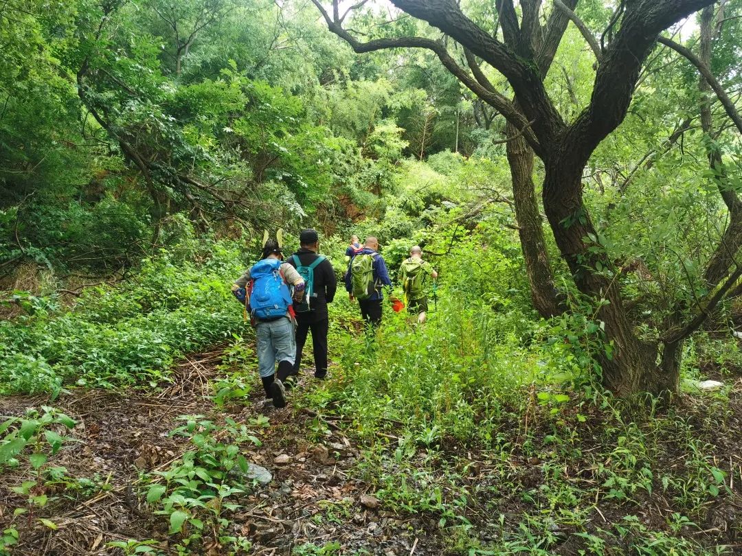 探寻荒野，踏山越水——徒步穿越苏州太湖大桥