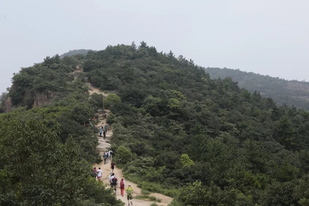 活动招募 | 百年风华，用行动践行红色初心